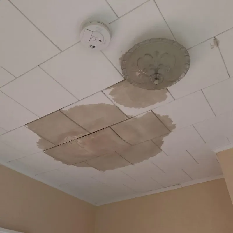 Ceiling Water Damage Repair in Coal Grove, OH