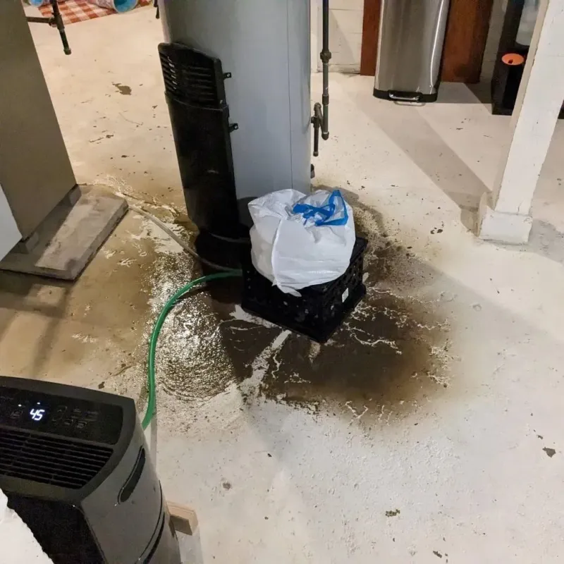 Sewage Backup Cleanup Service in Coal Grove, OH